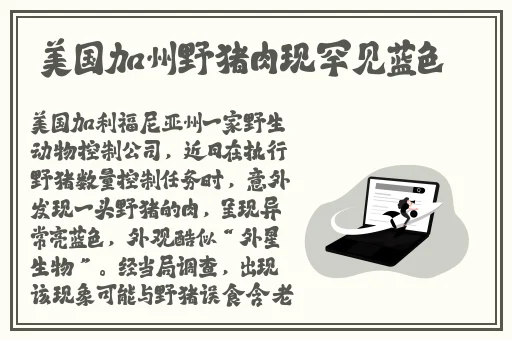 国精品产区WNW2544